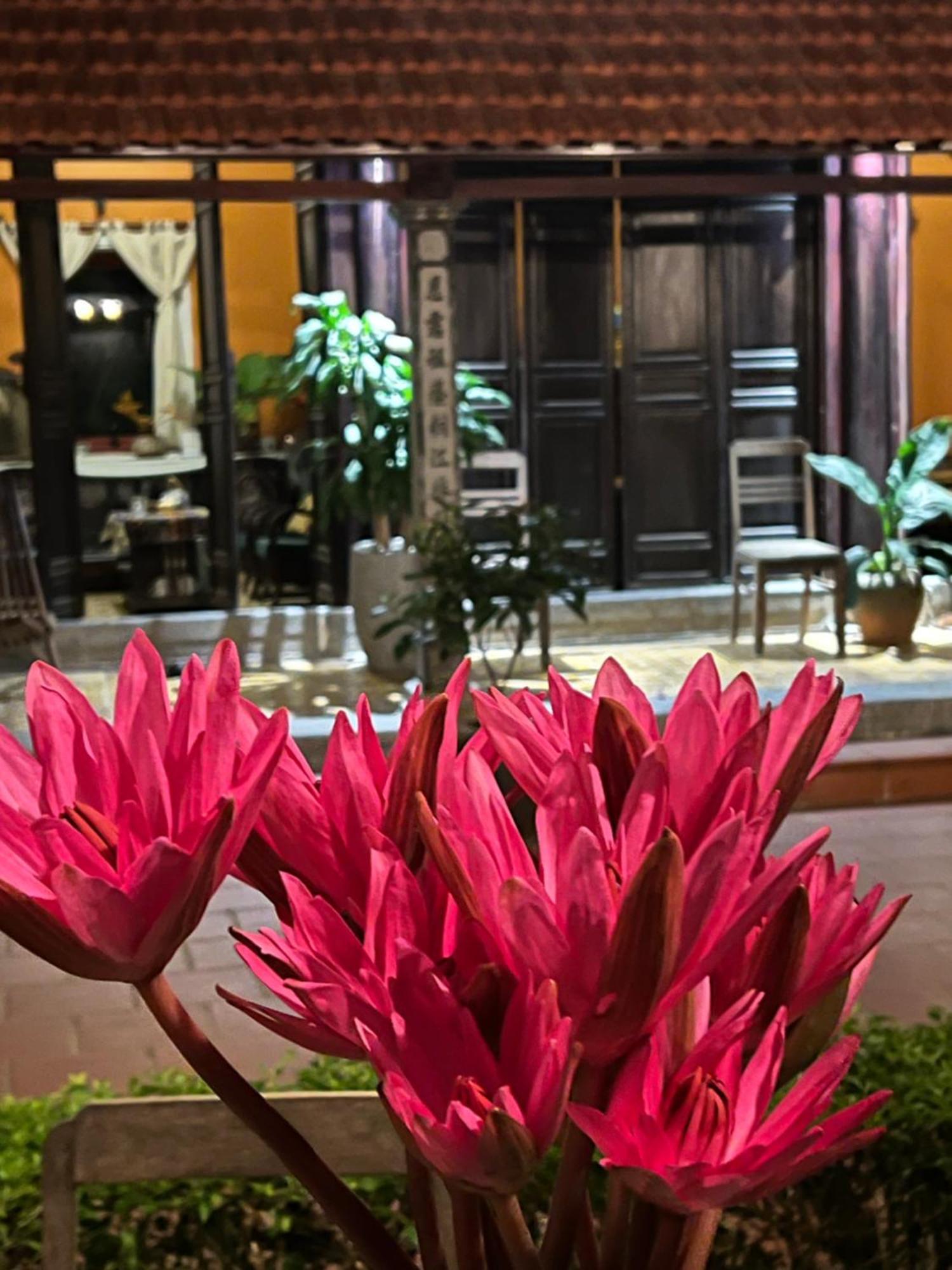 Hotel Thom'S House Ninh Binh Esterno foto